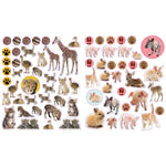 Eyelike Stickers: Baby Animals 3+ - 2