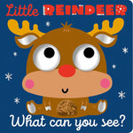 What Can You See | Little Reindeer Board Book 1+