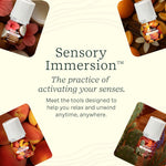 Lifeline | Clickwick | 4 Pack Sunkissed Escape