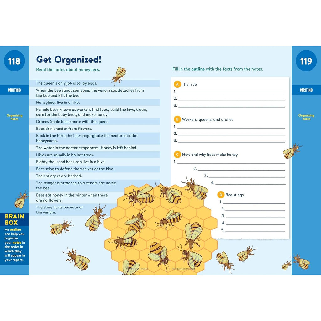 Brain Quest Workbook: 5th Grade Revised Edition - 3