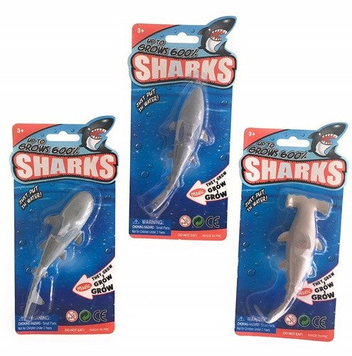 Growing Sharks - CR Toys