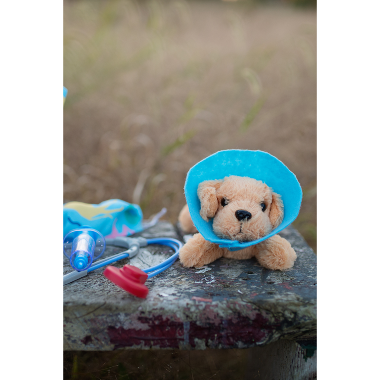 Veterinarian Set Size 5-6