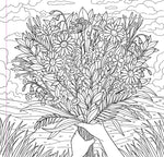 Coloring Book Adult | Wildflowers 8+ - 6