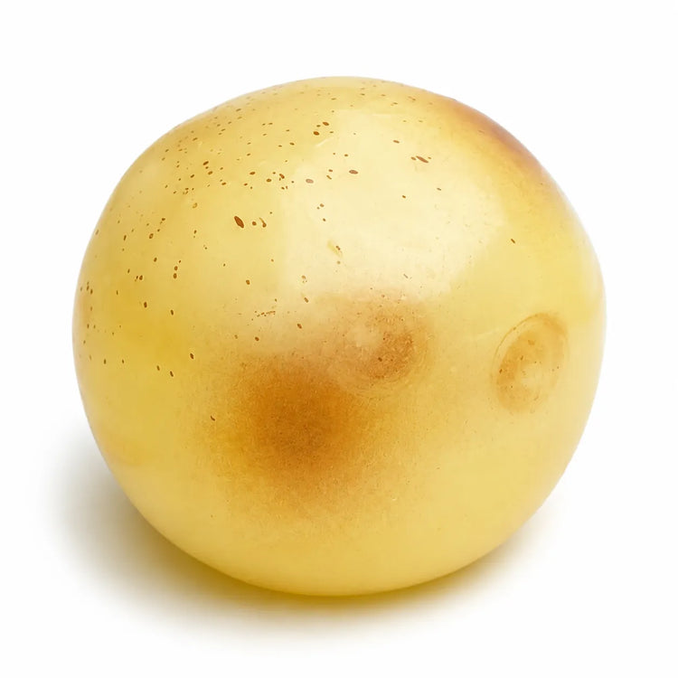 Coconut Oil | Potato Squishy Stress Toy - 1