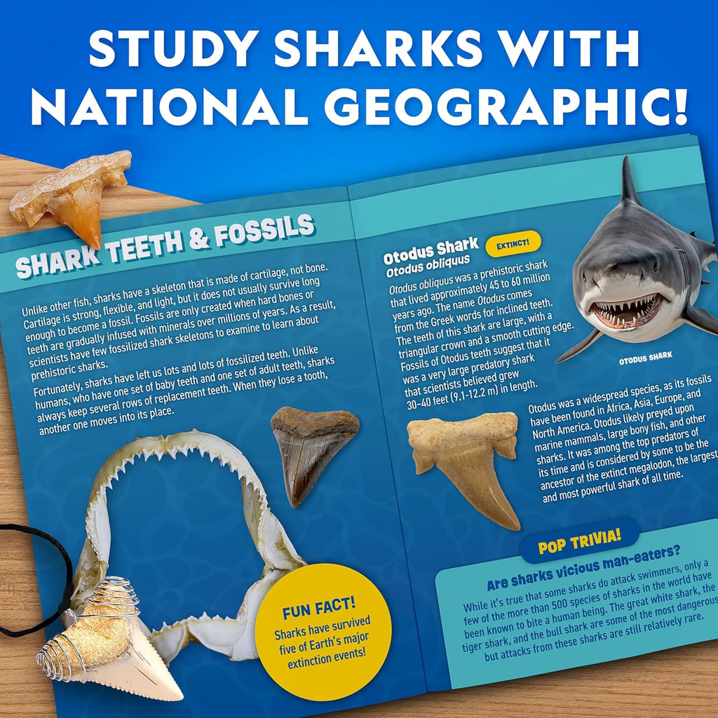 National Geographic | Shark Tooth Dig Kit | Ages 4+ - 6