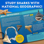 National Geographic | Shark Tooth Dig Kit | Ages 4+ - 6