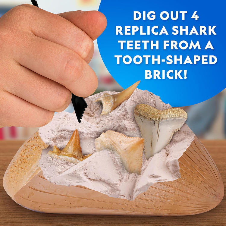 National Geographic | Shark Tooth Dig Kit | Ages 4+ - 2