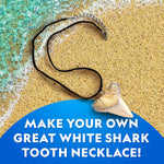National Geographic | Shark Tooth Dig Kit | Ages 4+ - 3