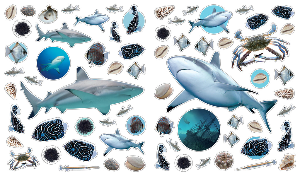 Eyelike Ocean sticker sheet featuring realistic sharks, crabs, fish, shells, and sea urchins