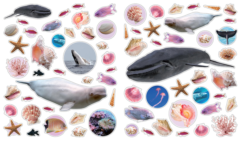 Assorted ocean-themed stickers featuring whales, seashells, starfish, fish, and coral on white background.