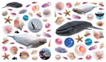 Assorted ocean-themed stickers featuring whales, seashells, starfish, fish, and coral on white background.