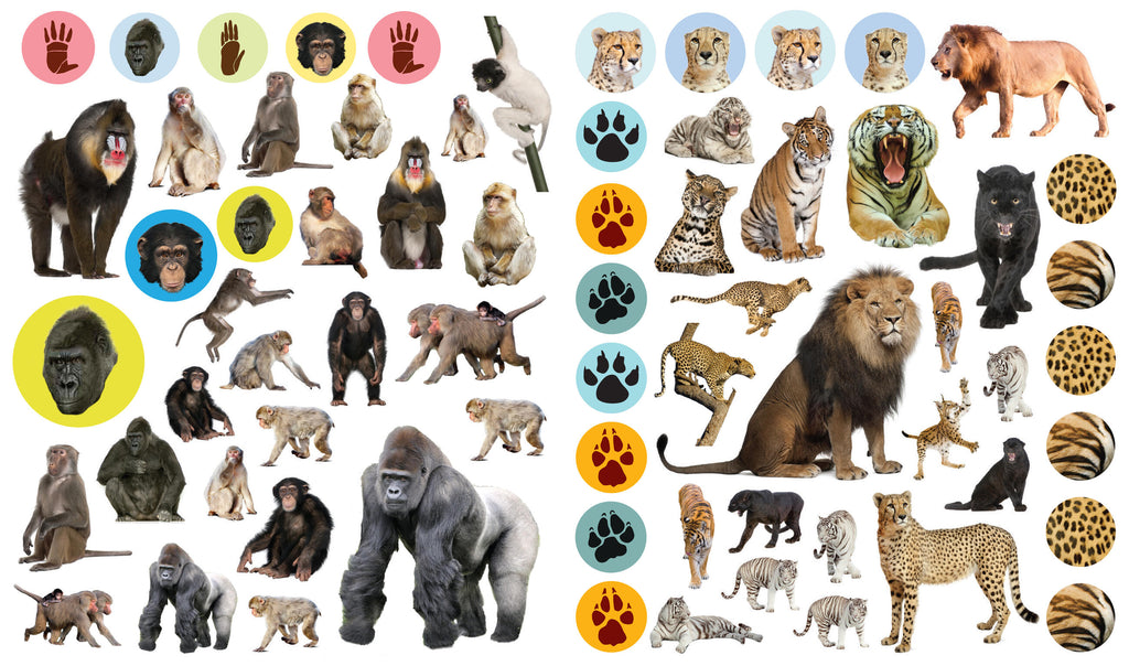 Eyelike Wild Animals sticker sheet featuring primates, big cats, paw prints, and animal fur pattern stickers.