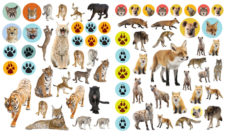Eyelike Wild Animals sticker sheet featuring tigers, foxes, wolves, hyenas, and paw print stickers