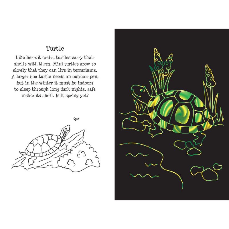 Scratch & Sketch | Pet Shop 5+ - 4