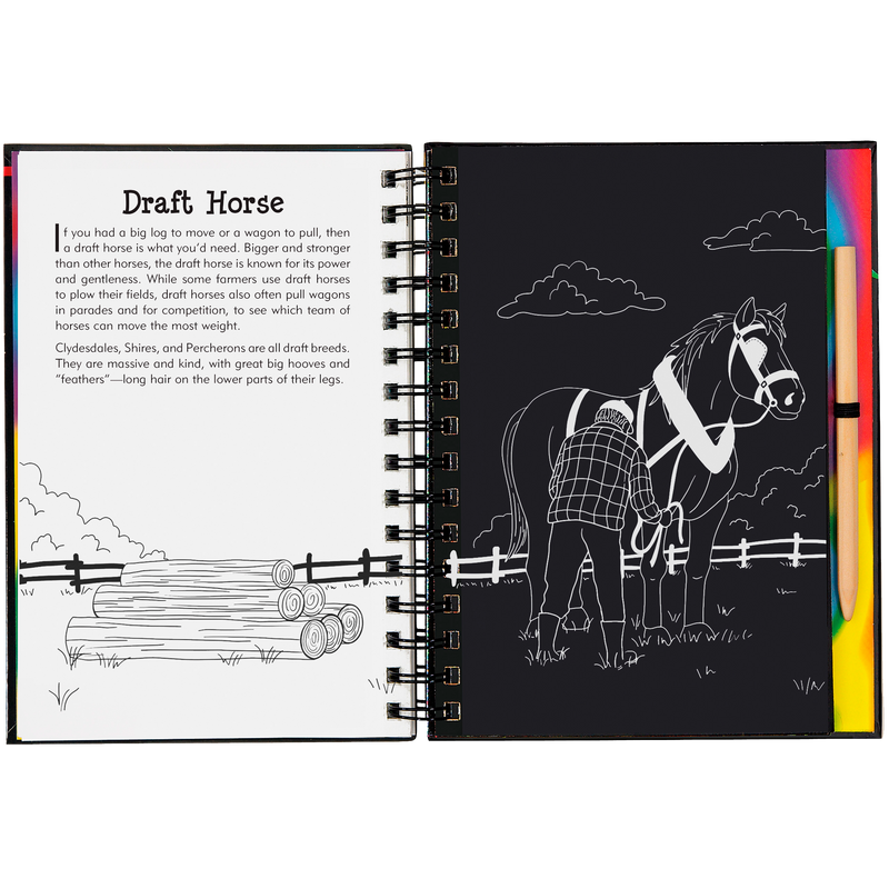Scratch & Sketch | Horses 5+ - 3