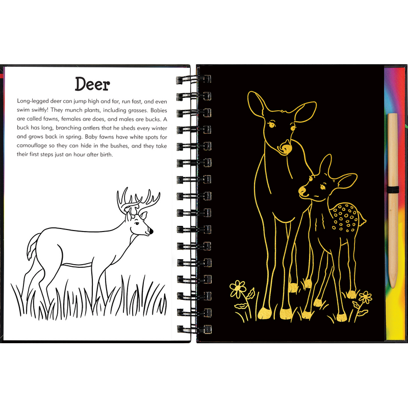 Scratch & Sketch | Forest Friends 5+ - 4