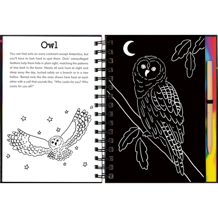 Scratch & Sketch | Forest Friends 5+ - 5