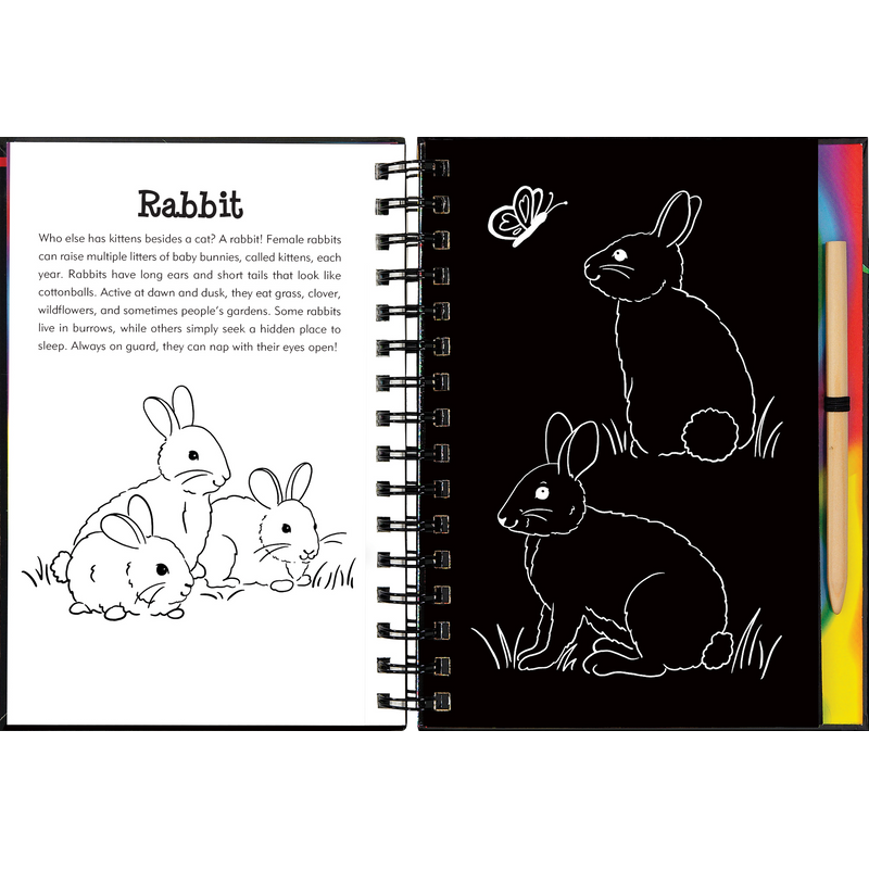 Scratch & Sketch | Forest Friends 5+ - 6