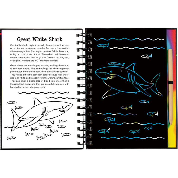 Scratch & Sketch | Sharks 5+ - 2