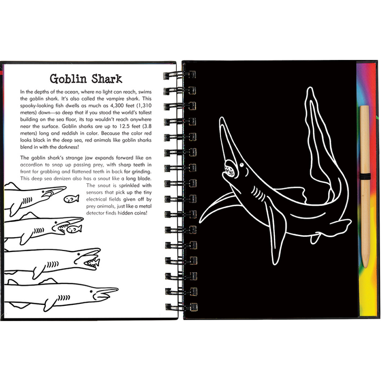 Scratch & Sketch | Sharks 5+ - 4
