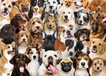 All the Dogs | 1000 Piece Jigsaw Puzzle - 2