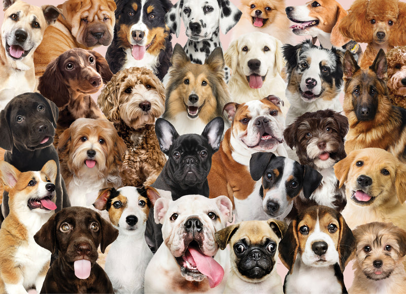 All the Dogs | 500 Piece Jigsaw Puzzle - 2