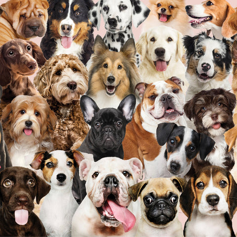 All the Dogs | 500 Piece Jigsaw Puzzle - 1