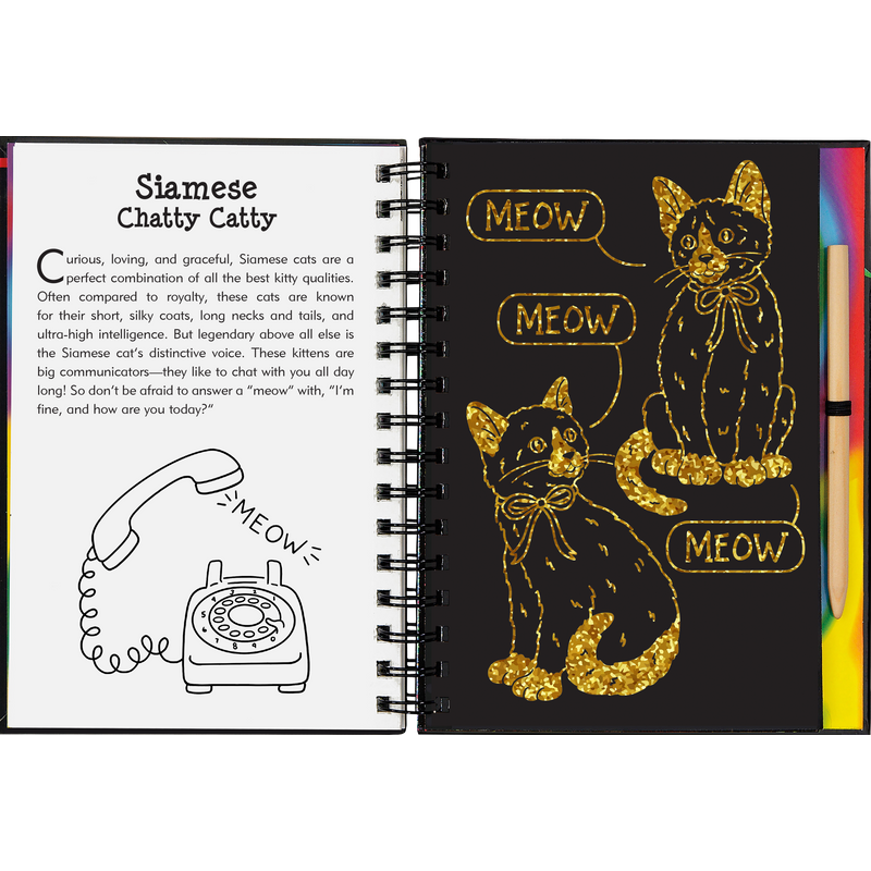 Scratch & Sketch | Kittens 5+ - 3