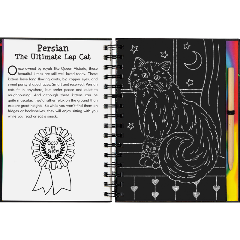 Scratch & Sketch | Kittens 5+ - 6