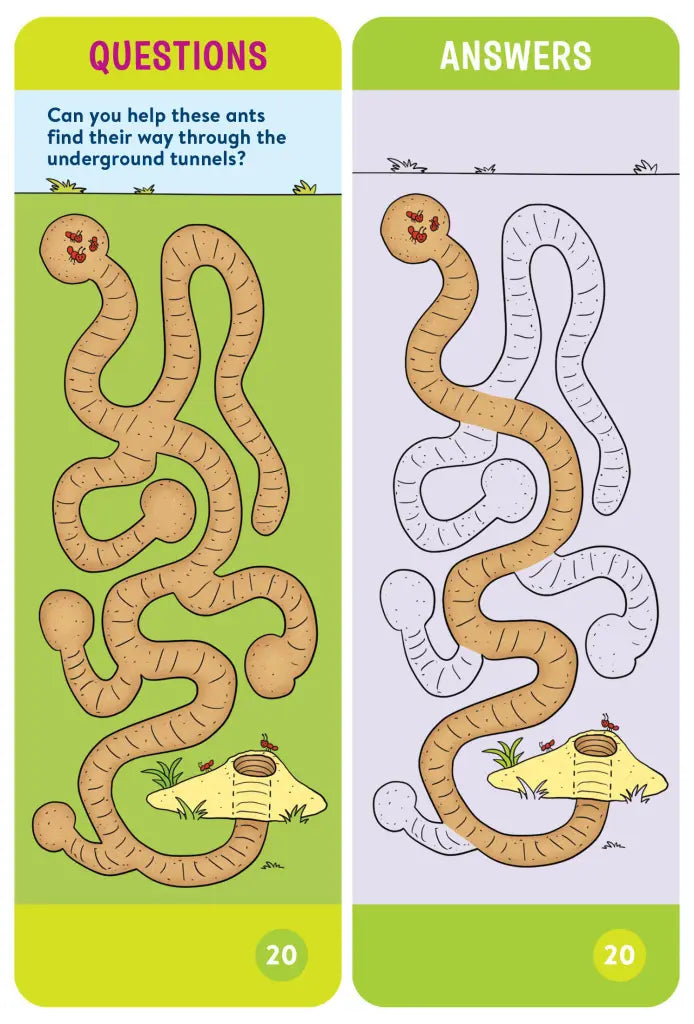 Brain Quest | Pre-Kindergarten Smart Cards Revised 5th Edition - 3