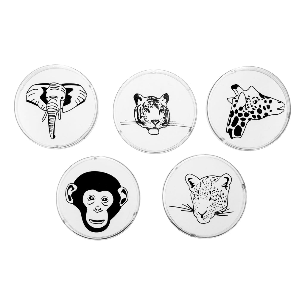 Mini Led Projector-Jungle