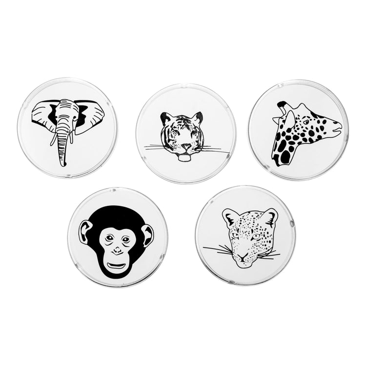 Mini Led Projector-Jungle