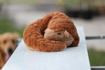 Pangolin Plush 4Lbs Weighted For Ages 3+