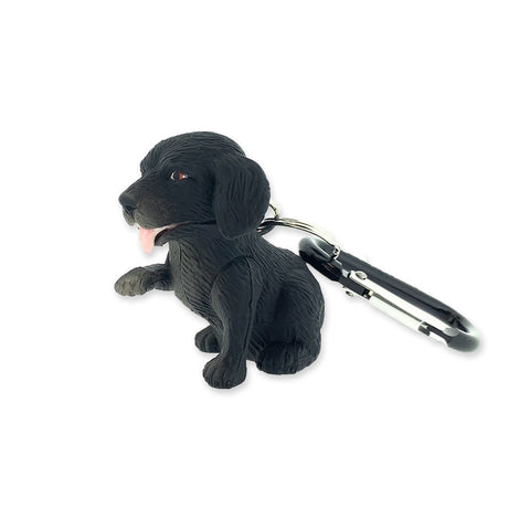 Wildlight Flashlight | Black Lab - 1