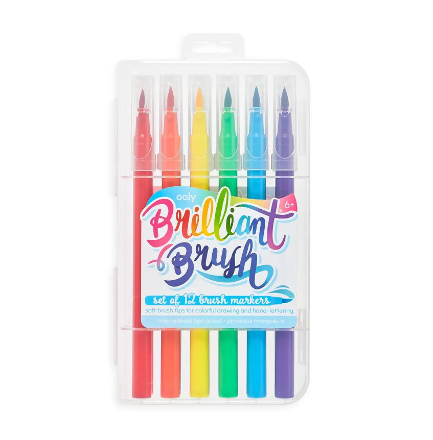 Brilliant Brush 12 Pack - CR Toys