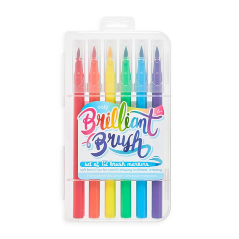 Brilliant Brush 12 Pack - CR Toys