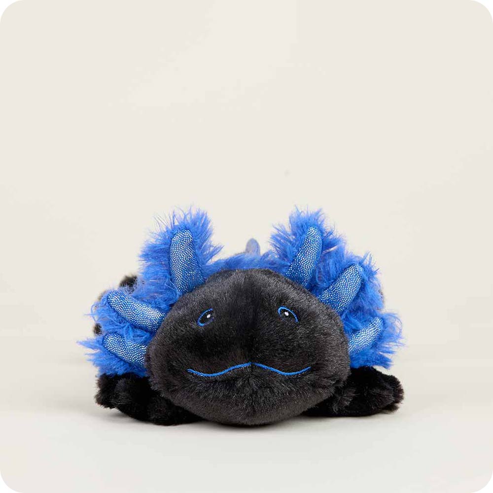 Warmeis Junior | Black Axolotl