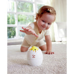 Roll and Hatch 6M+ - CR Toys