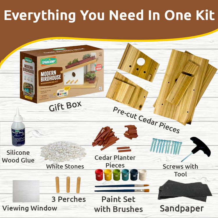 Modern Birdhouse Woodworking Kit