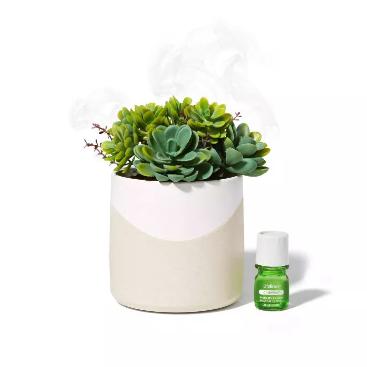 Lifelines Plant Diffuser | Succulent Two Toned - CR Toys
