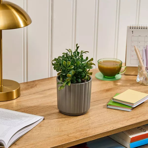 Lifelines Plant Diffuser | Boxwood Plant Ribbed Gray Essential Oil Diffuser - CR Toys