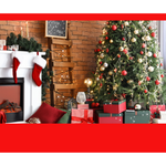 Christmas Fun | We’ll Do the Picking—You Enjoy the Magic ✨🎄