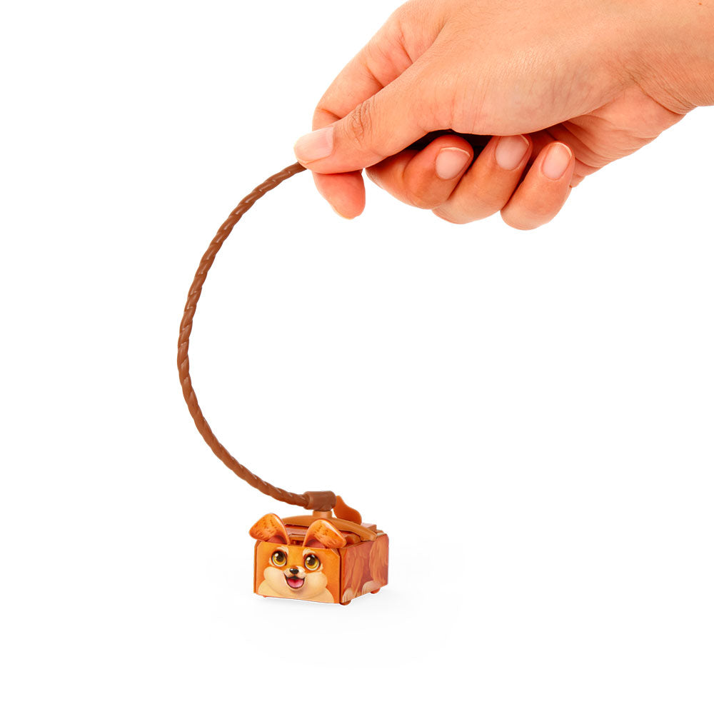 Pets 2 Love | Corgi Milo