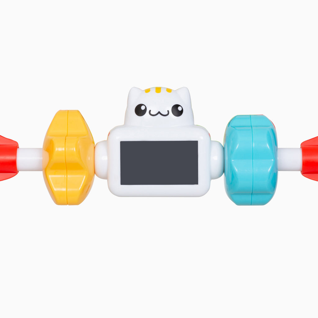 Jammin Gym with Play Mat 0+