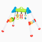 Jammin Gym with Play Mat 0+