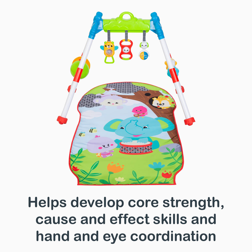 Jammin Gym with Play Mat 0+