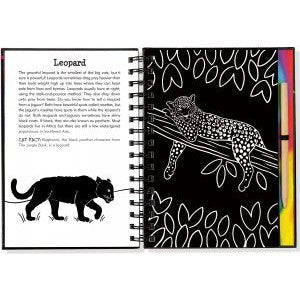 Wild Cats Scratch & Sketch - CR Toys