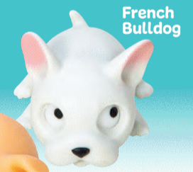 Pop Pups Fun Fidget Toy