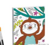 Jr Artist Canvas & Paint Set (Lion Or Sloth)