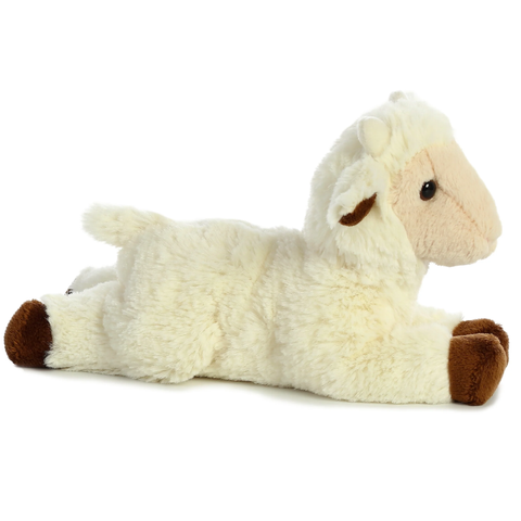 Goat Kid 8